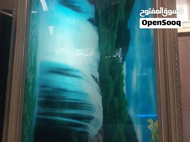 برواز تعليق شاشه مضيئه متحركه منظر طبيعي مع اصوات العصافير من الطبيعه