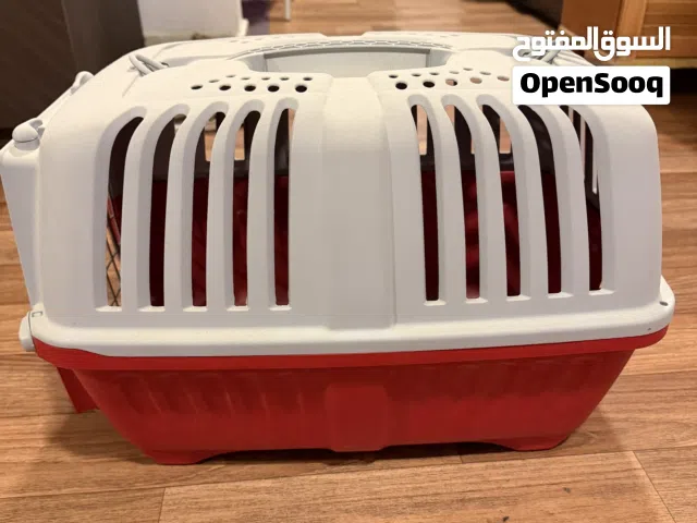 صندوق قطط للبيع