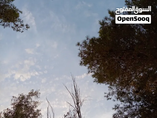 مطلوب بيت مستقل للايجار