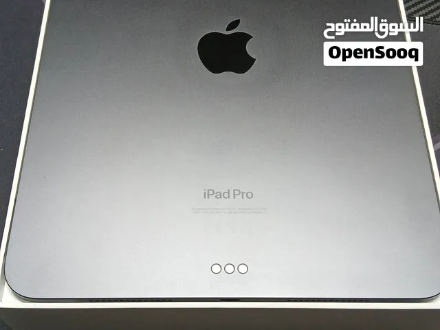 Ipad pro 11 M4(2024)