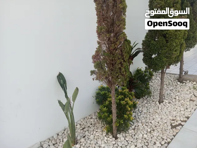 توصيل الي مدرسه نطاق حي الاندلس و السياحية