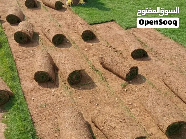 تيل طبيعي في الرياض