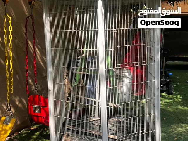 Used Birds cage for sale  قفص مستعمل    لطيور الزينة