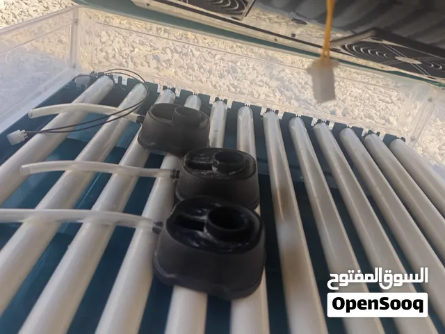 للبيع فقاسه شبه جديده