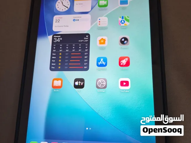 iPad mini 7 US Version