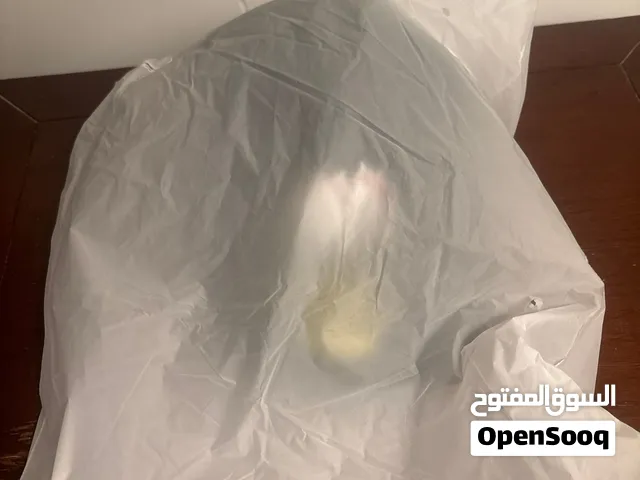 كبوس ماركه