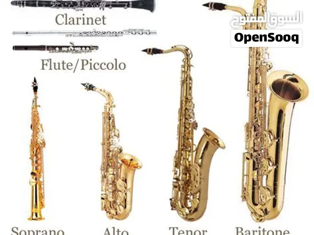 Alto Saxophone Music Teacher