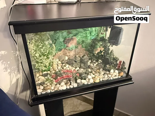 حوض سمك كبير