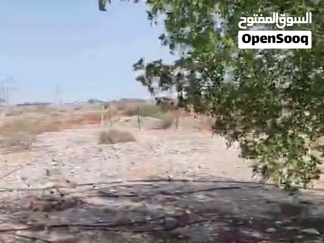 للبيع أرض زراعيه فضاء مسوره في وادي المعاول - حبراء -بئر مصرح ماء عذب شارع قار لحد الباب 26.682 متر