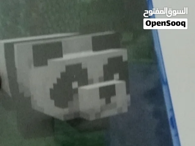 cdماينكرافت