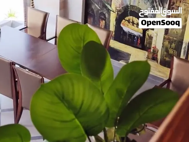 للبيع – مطعم قائم في رأس الخيمة