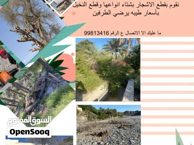 أقوم بقص الاشجار والنخيل بشتاء أنواعها والسعر على حسب العمل لتواصل