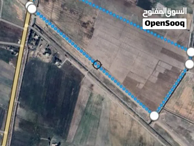 أرض زراعية استثمارية 170 دونم في دير الزور - البصيرة، على الشارع العام ومخدومة بالكامل.