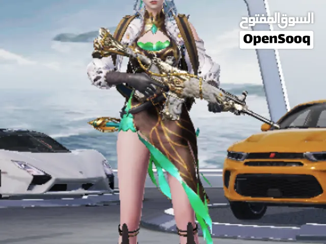 حساب بيبجي للبيع ليفل79 ليفل المجموعات 60
