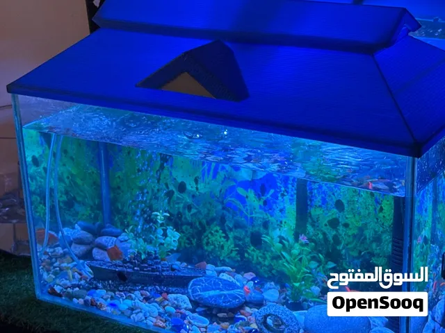 Fish aquarium for sale