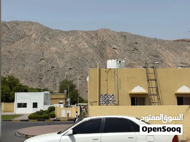 تويوتا افلون 2001