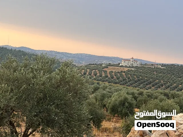 Mixed Use Land for Sale in Jerash Al-Hashimiyyah