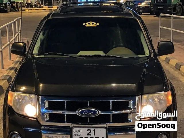 Used Ford Escape in Amman