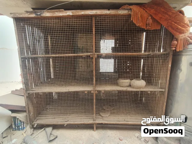 سلاكات خشبي لتربية الحمام والعصافير12 عين + كامل أواني الفخار والمساقي