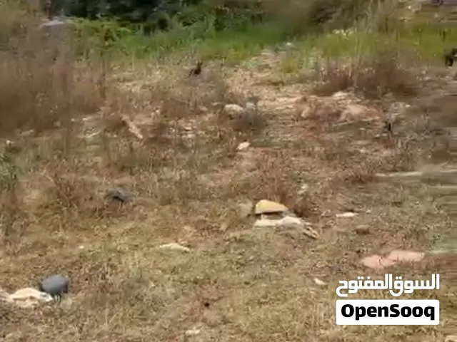 ارض للبيع مساحة 1800 متر عالية عين الجديده