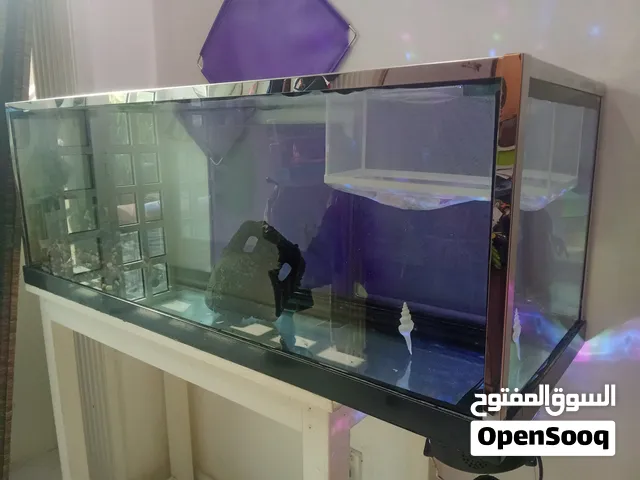 Aquarium All Glass حوض سمك القاعدة أيضًا زجاج