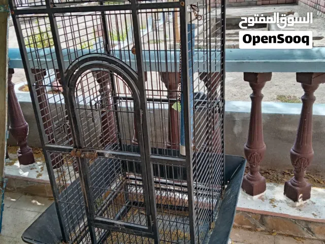 قفص طيور للبيع