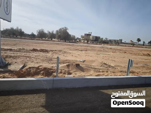 طريقًالمطارق  1515 م3
