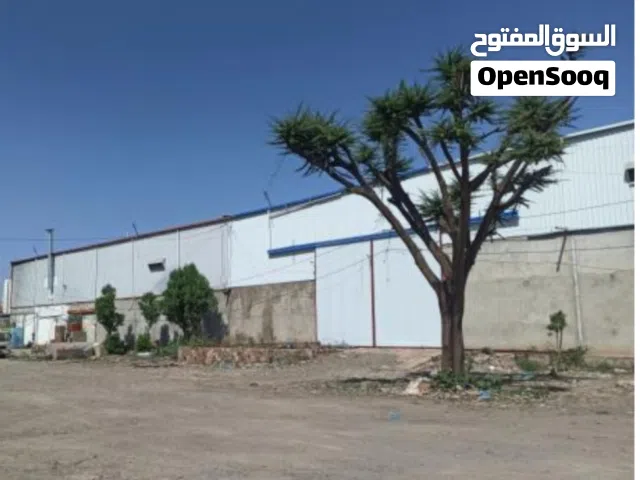 اثنين هناجر للايجار في مفرق ماويه وسط السوق