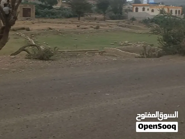 ارضية على الخط في قاع القيضي عرطه450