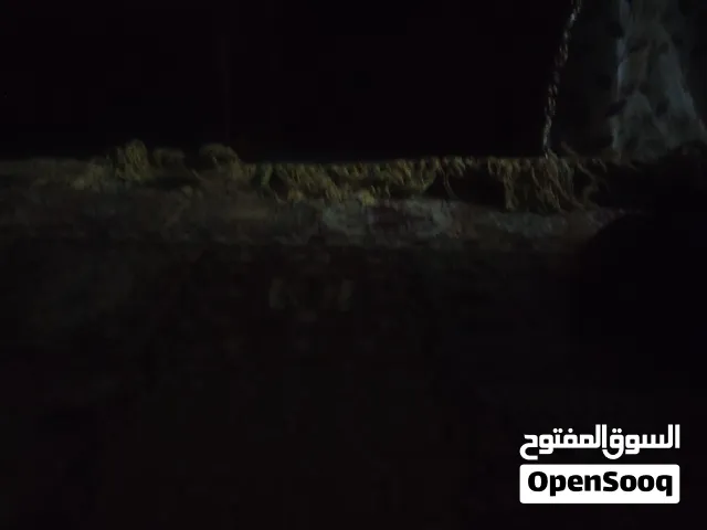 قنفة للبيع مستعمل