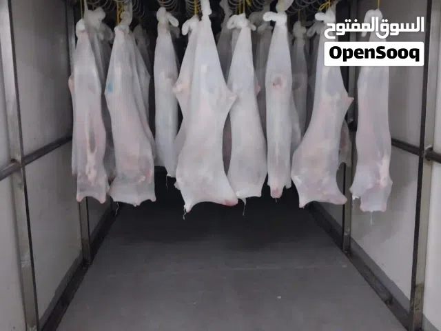 ذيائح  للبيع