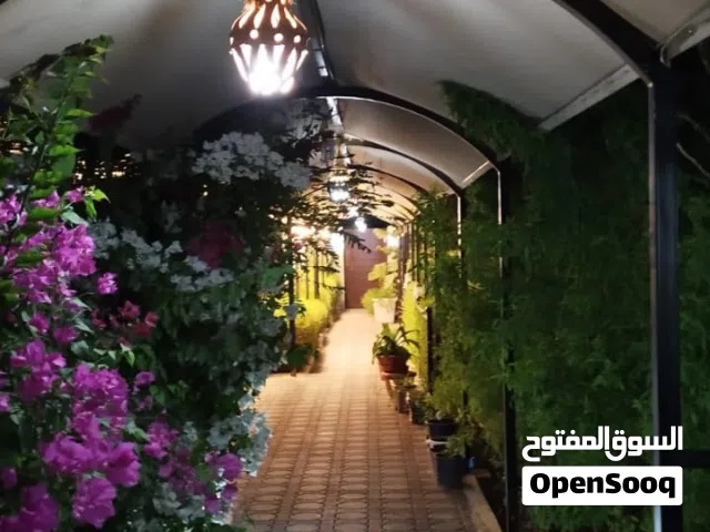 RestHouse AlBaida استراحة للراحة والاسترخاء