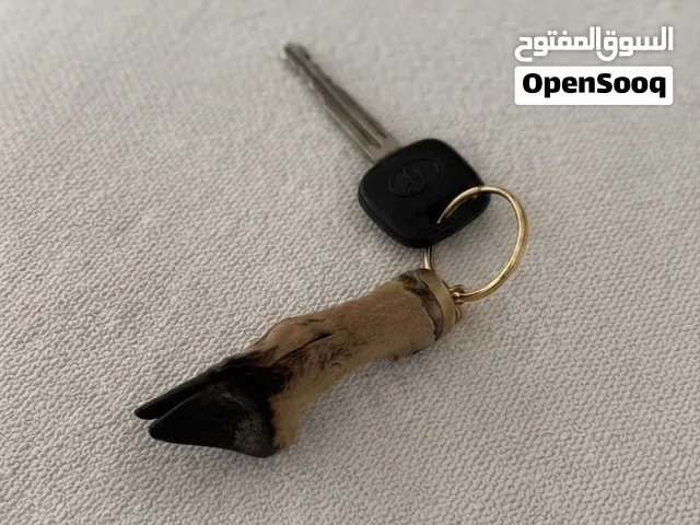 علاقة مفاتيح نادرة