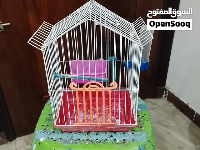 نقاله عصافير للبيع