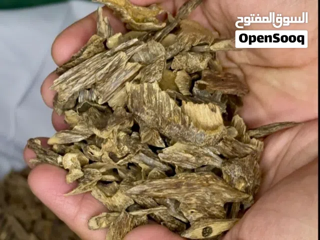 جمبو موري  تريبل سوبر