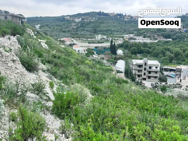 ارض للبيع في منطقة جون بسعر لقطة مساحة 1500 متر زراعة وبناء بنفس الوقت وإطلالة خضراء
