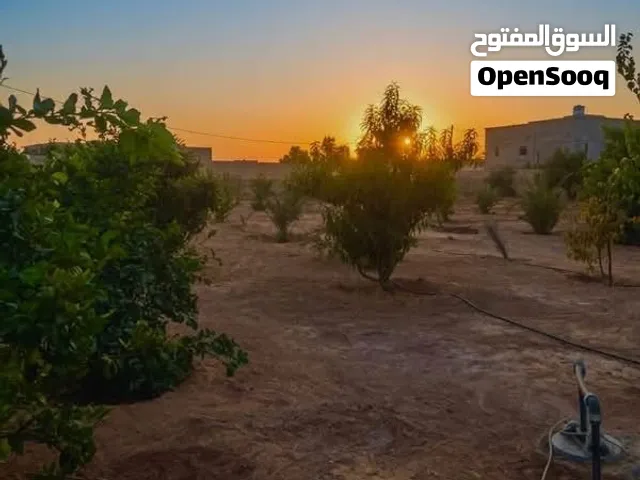 مزرعة في وادي الربيع اللطفة للبيع