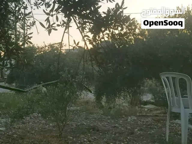 ارض للبيع مساحة دنم