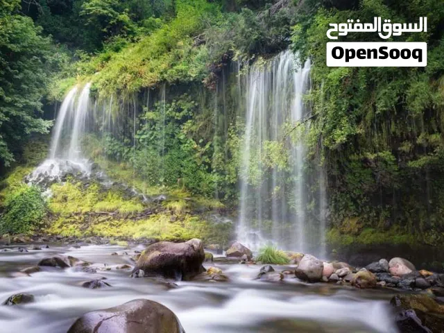 شقة للايجار خلف السفر السعودية والجامعة الإميركي في شارع كاليفورنيا