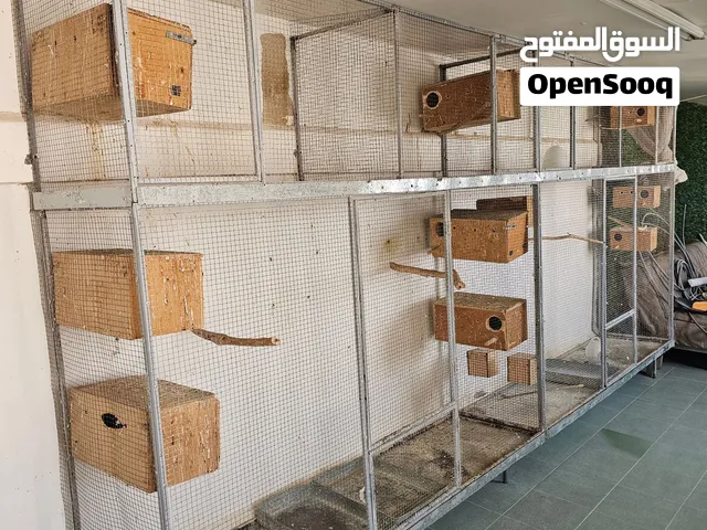 للبيع قفص حديد قابل للفك والتركيب