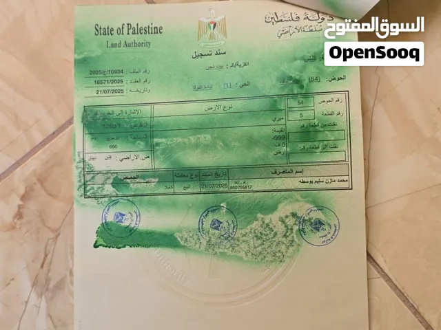 قطعتي ارض طابو بسعر مغري في بيت دجن 666م و 497م