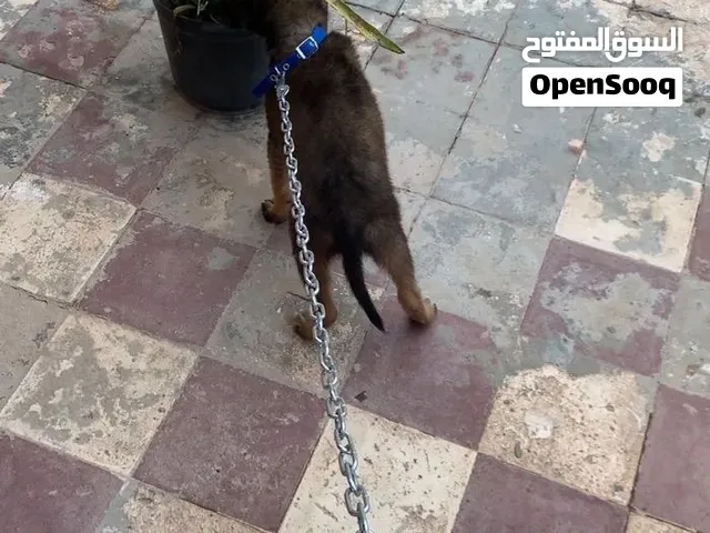 مكان الغرب