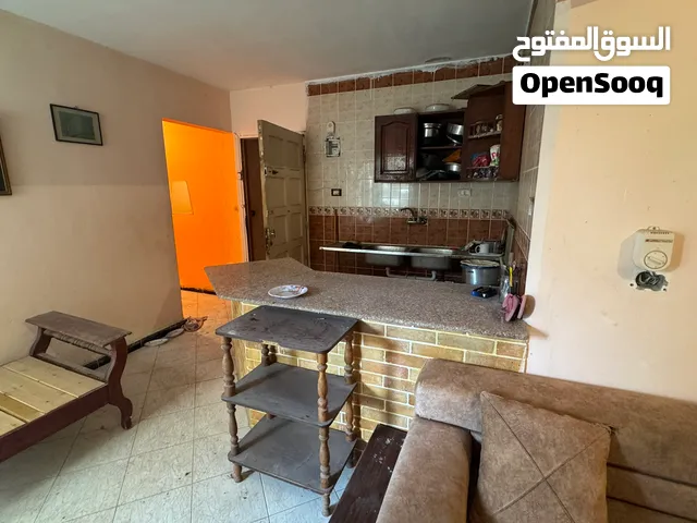 شاليه ارضي بجنينه اول نمرة علي البحر بالبيطاش شهر العسل  ارضي بجنينه خاصة
