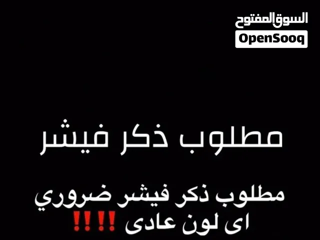 ذكر فيشر مطلوب