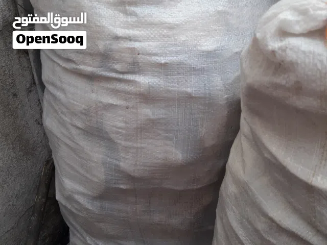 خبز يابس للغنم