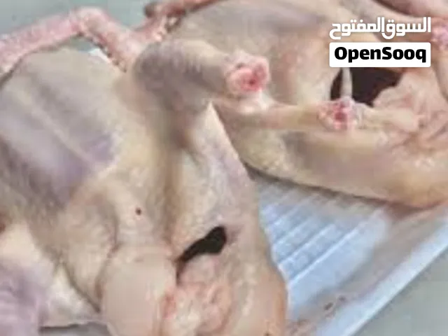 بسم الله الرحمن الرحيم زغاليل مذبوحه منظفه جاهزه للطبخ