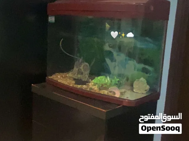 حوض مستعمل للبيع