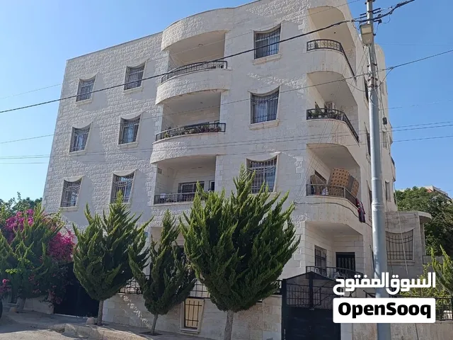 شقة مميزة للإيجار في شفا بدران – موقع هادئ وإطلالة رائعة