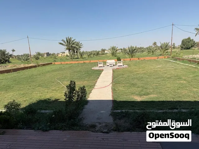 للبيع مزرعة مميزة بمساحة 24 دونم – قطعة واحدة فقط