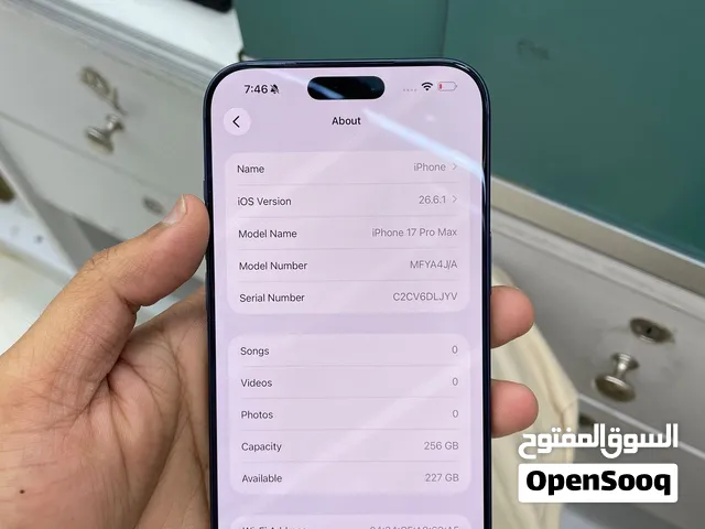 17 pro max 256GB